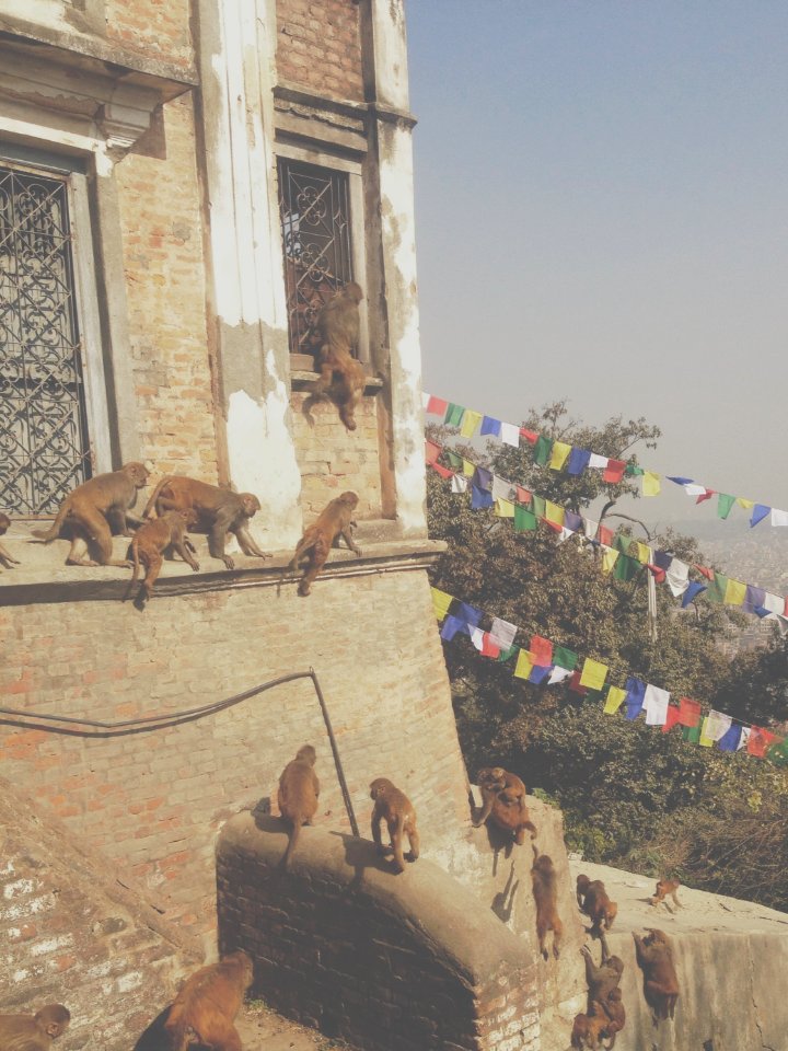 Swayambhu cir rd, Kathm, U 44600