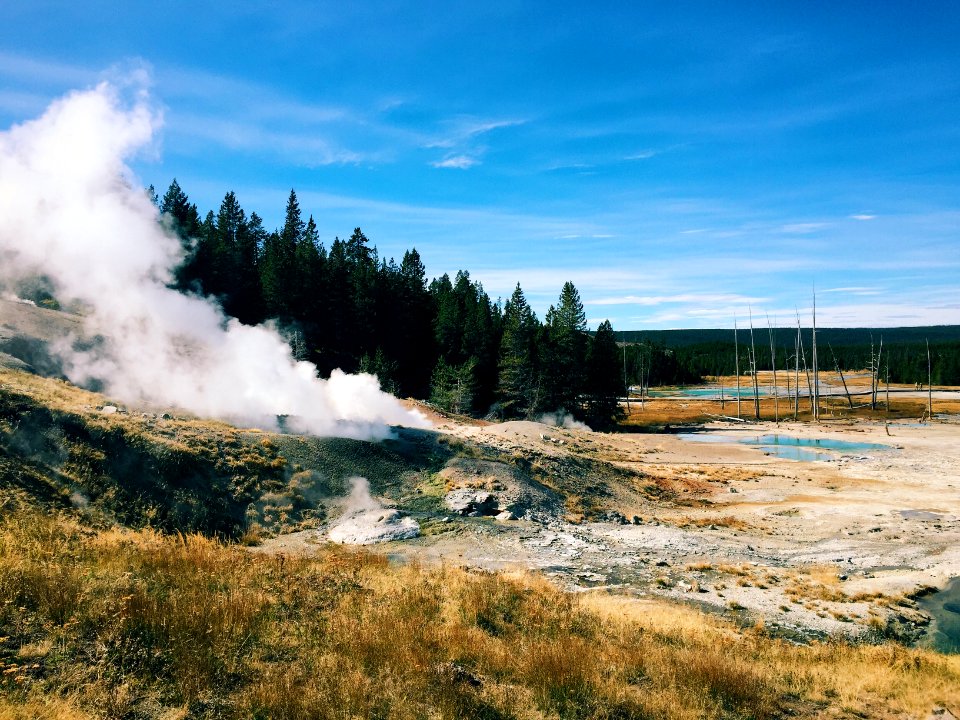 Yellowstone national park, United states, Geyser