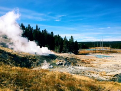 Yellowstone national park, United states, Geyser photo