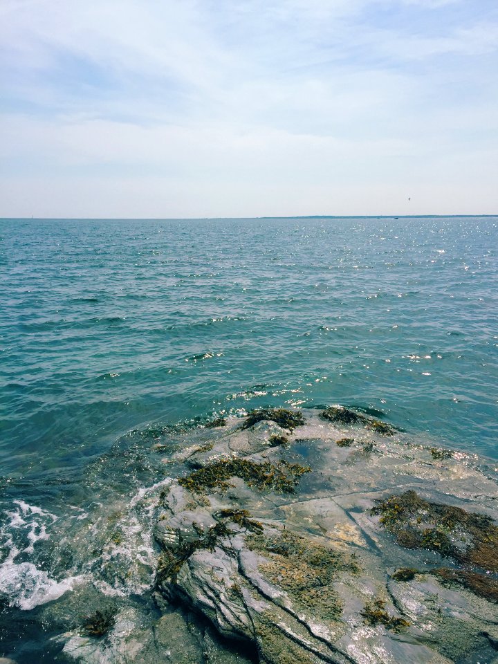 Newport, United states, Rocks