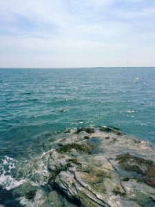 Newport, United states, Rocks