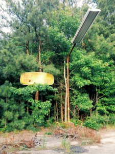 Gas station, Forest, Trees