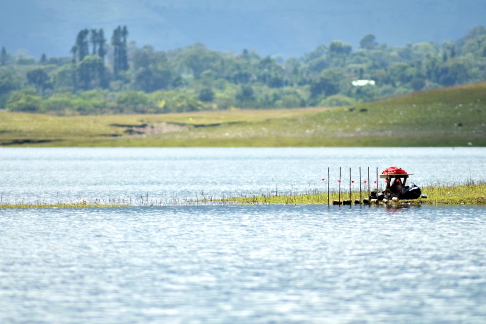 Travel, Fishing, Nature
