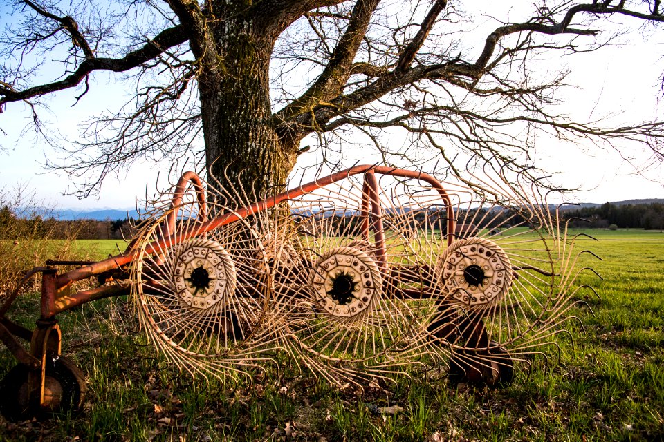 Tree, Farming, Machine