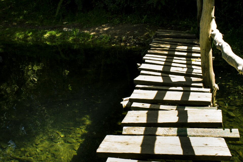 Landscape nature campo