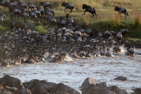 Migration kenya africa