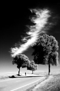 grayscale photo of person on road between trees