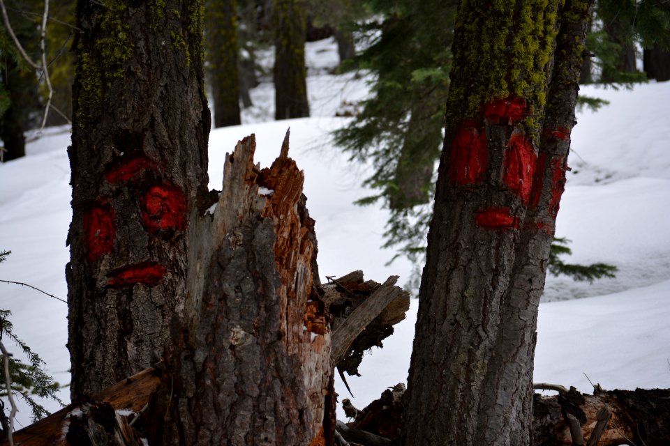 Tahoe city, United states, Faces