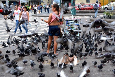 San jos, Costa rica, City