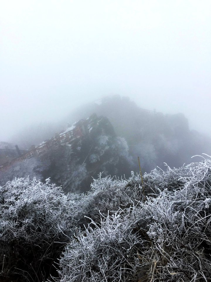Emei mountain, Leshan, China