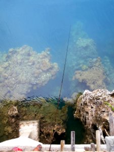 Sulawesi, Bening, Indonesia