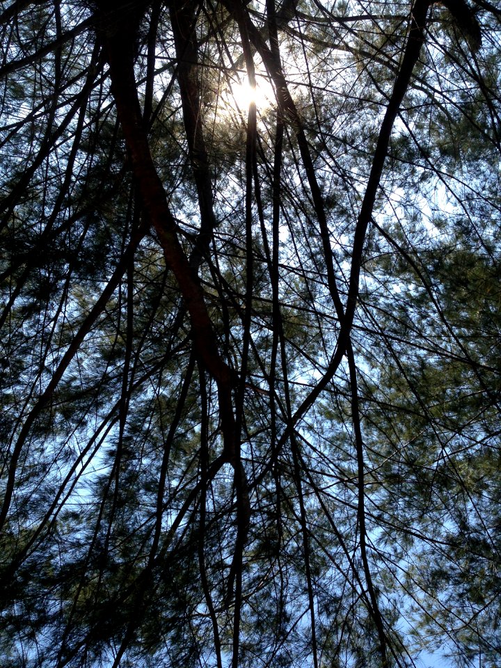 Indonesia, Pantai lombang, Lombang