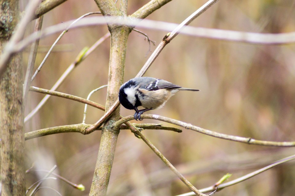 Humber bridge country park, Hessle, United kingdom