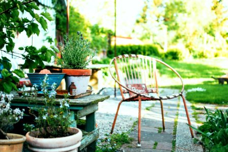 Kivik, Sweden, Green fingered