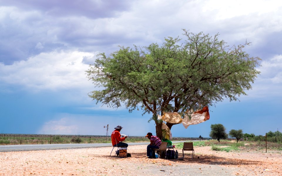 Acacia tree, Work, Africa