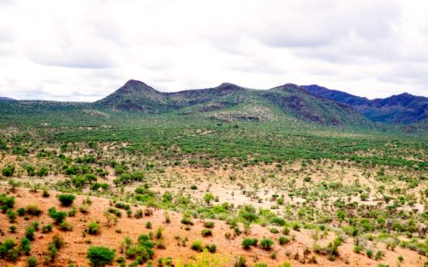 Namibia, Gocheganas private wildlife reserve  spa, Windhoek