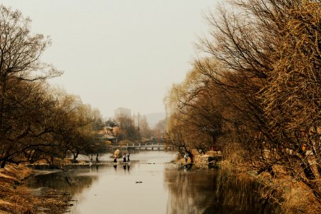 South korea, Suwon si, Path