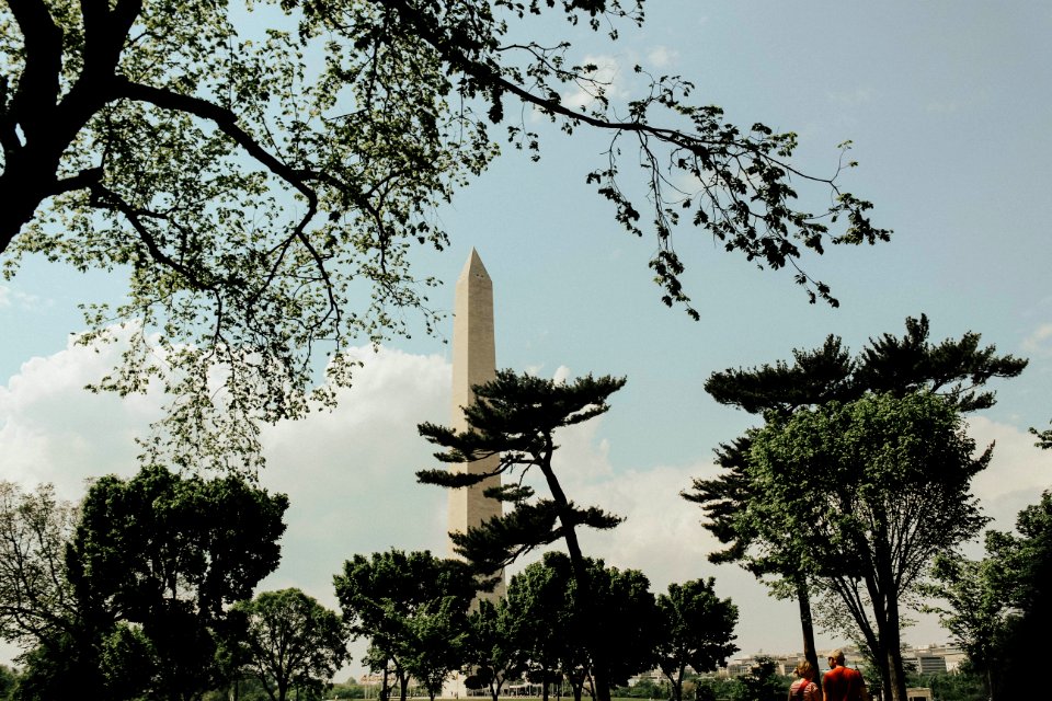 Washington, United states, Nature