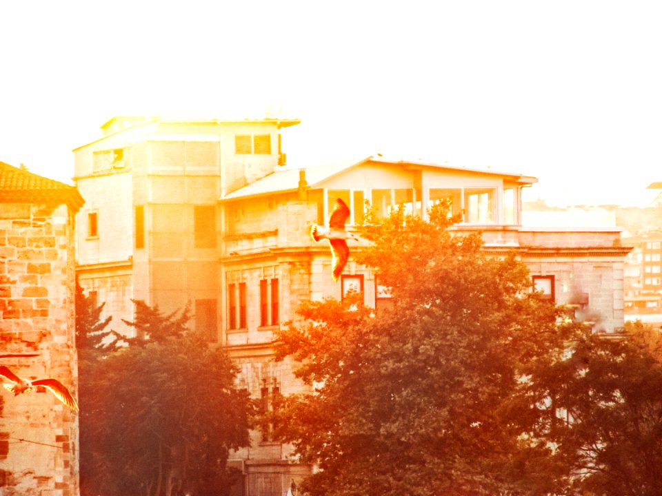 Emin n , Turkey, Apartment