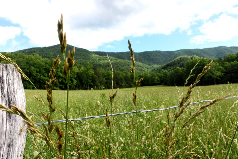 Great smoky mountains national park, United states, Tennessee