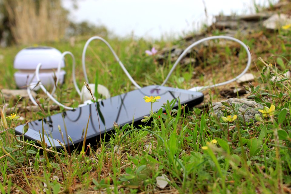 Green, Grassl, Mobile