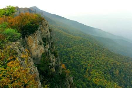 Green, Mountain, Forest