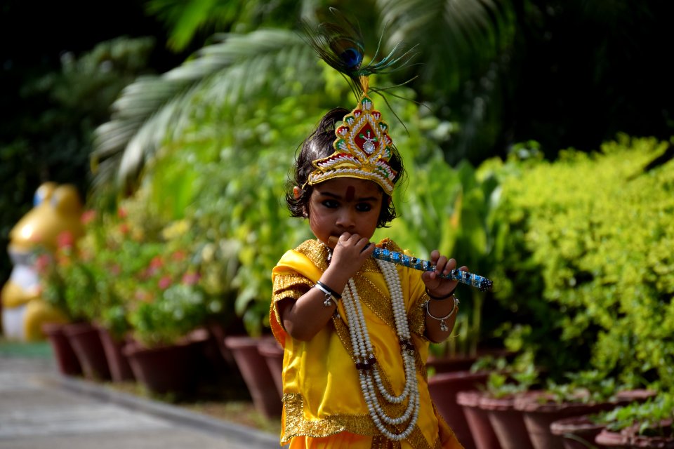 India, Sahibzada ajit singh nagar, Flute