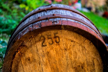 Champagne, Barrel, Vine