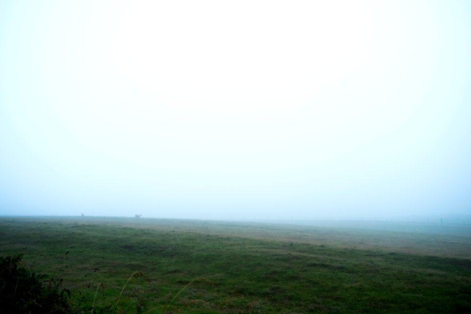 Manorbier, United kingdom, Scape