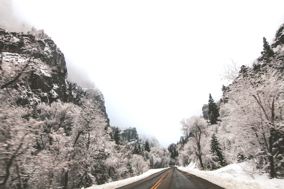landscape photography of road in the middle of mountains and trees