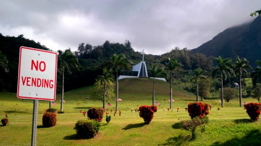 Hawi, Estados unidos, Yard