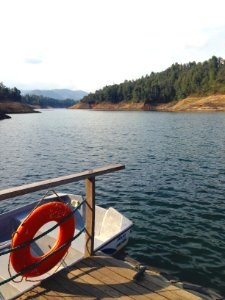 Swim, Water, Calm