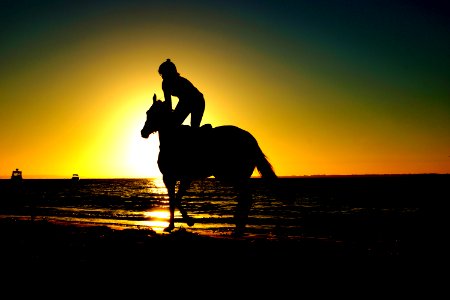 silhouette of woman kneeling on horse beside body of water during sunset photo