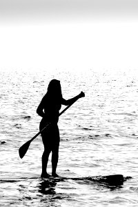 Silhouette, Paddle board, Sea