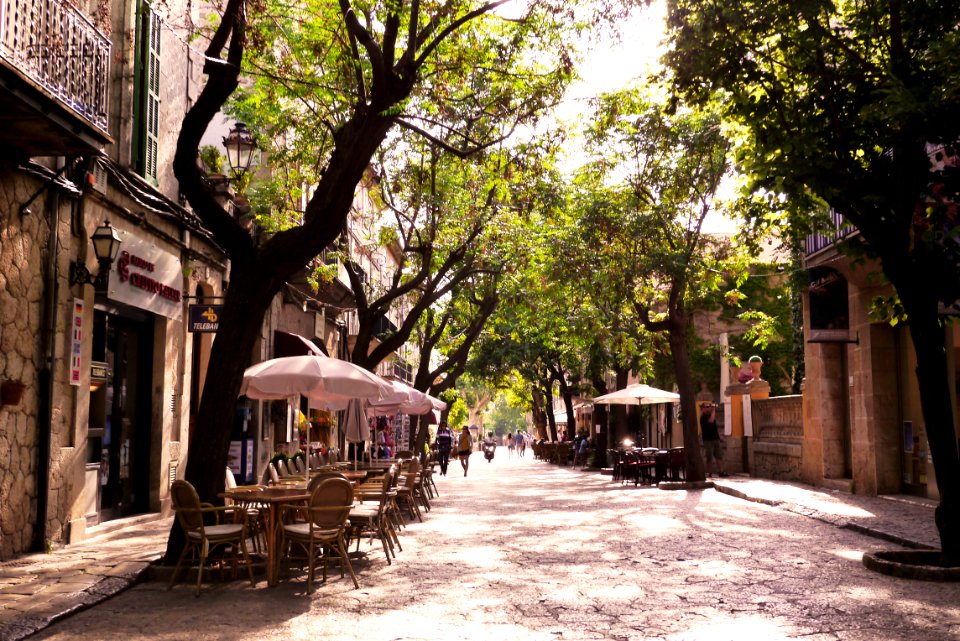 Street, Trees, Holiday