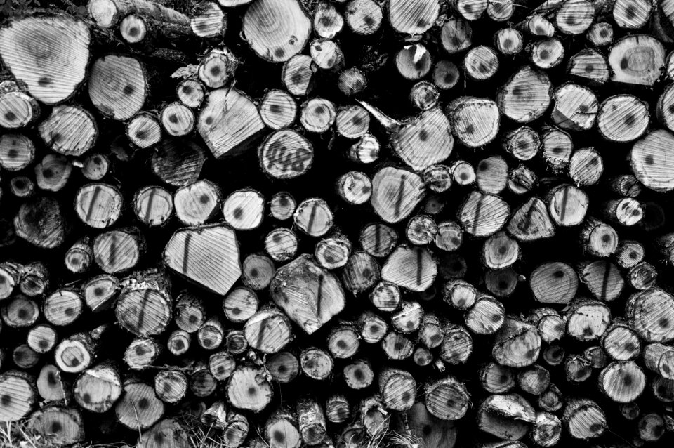 Holzstapel nature stacked