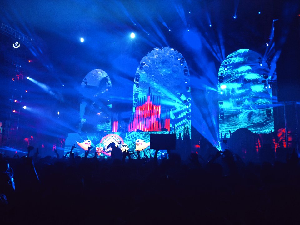 Festival, Music, Lights