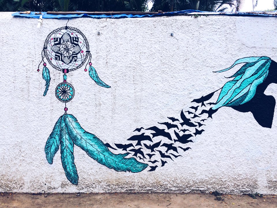 Fort kochi, Kochi, India