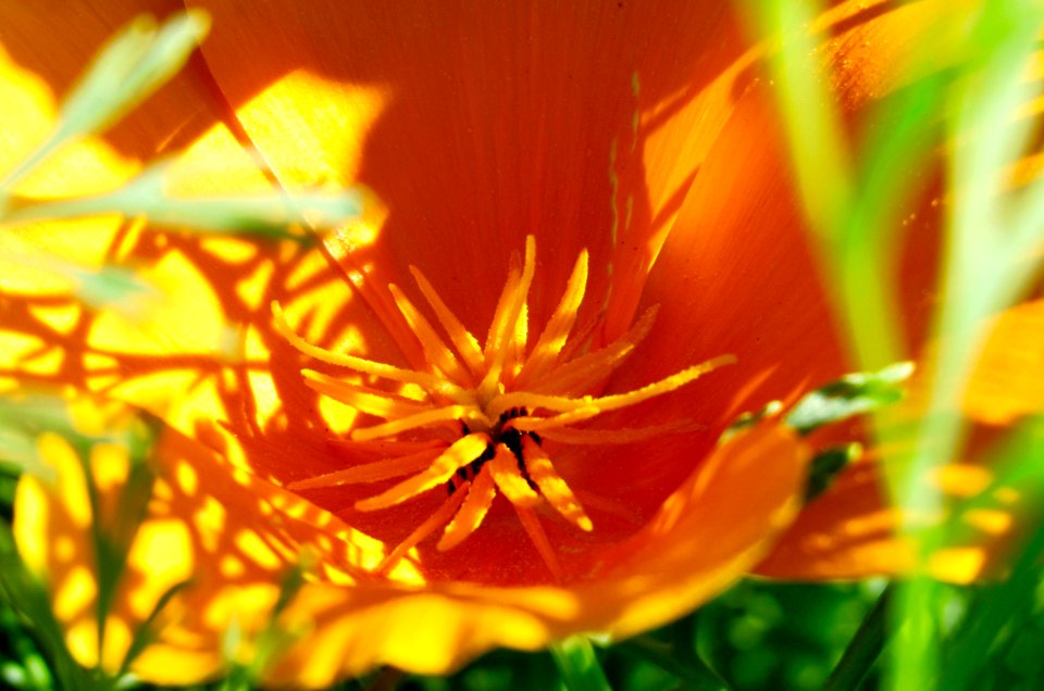 Penticton, Canada, Macro