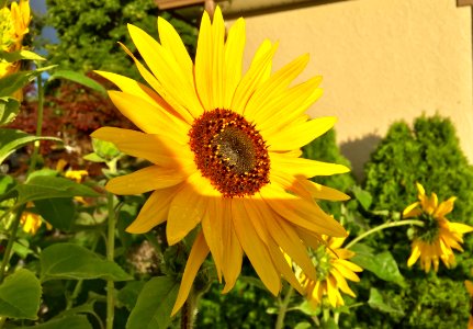 Penticton, British columbia, Canada