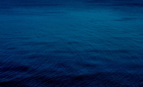selective focus photography of blue water