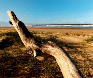 Redcar, United kingdom, Calm photo