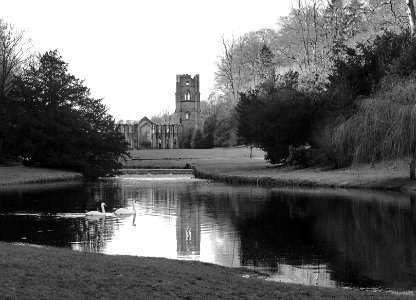 Fountains abbey, Ripon, United kingdom photo