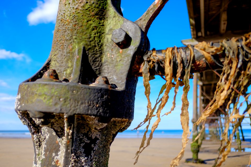 Saltburn 