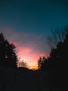 Trees, Sunset, Cloud