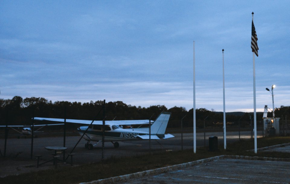 Aviation, Forest, Trees