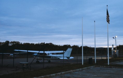 Aviation, Forest, Trees