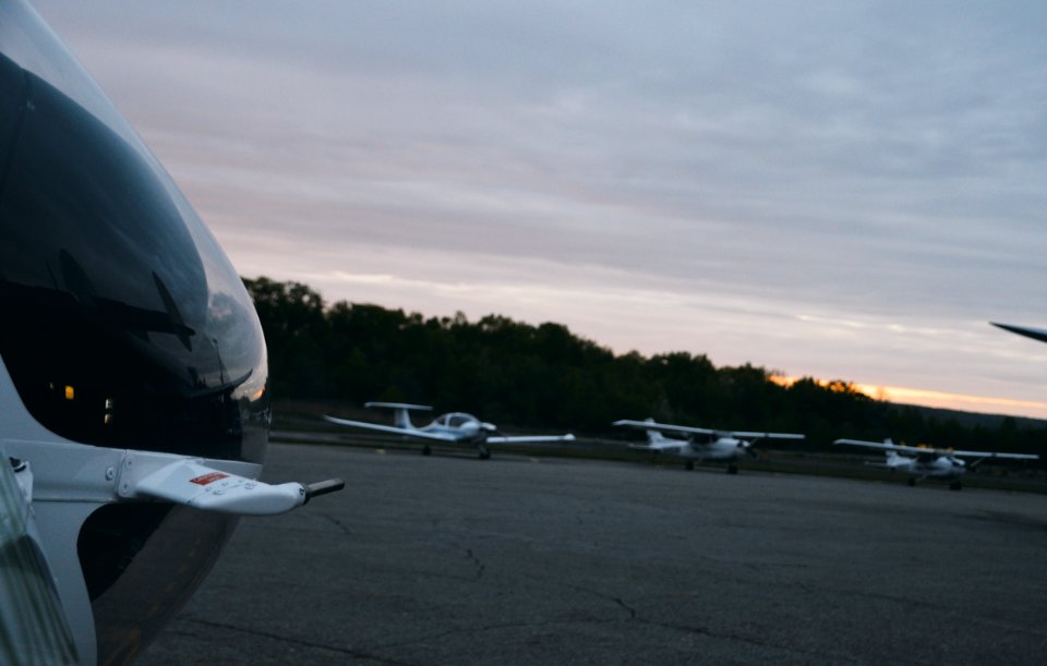 Aircraft, Planes, Treees