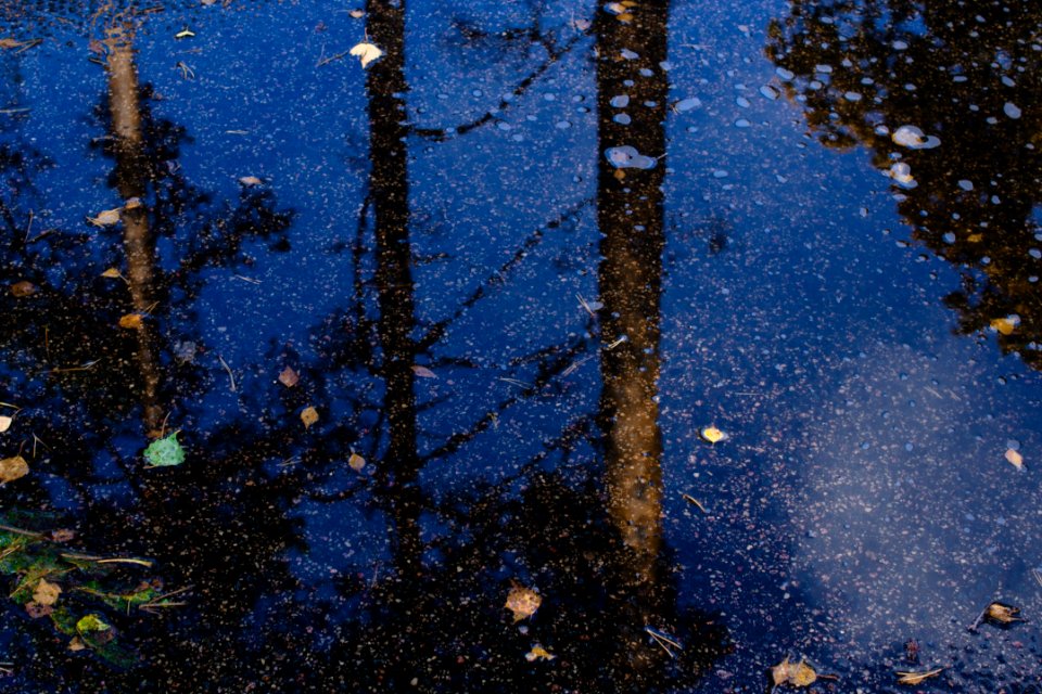 Wet, Autumn, Water
