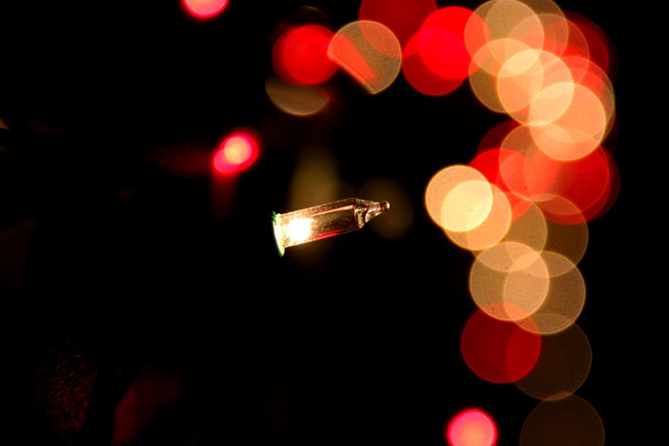 Season, Christmas, Lights
